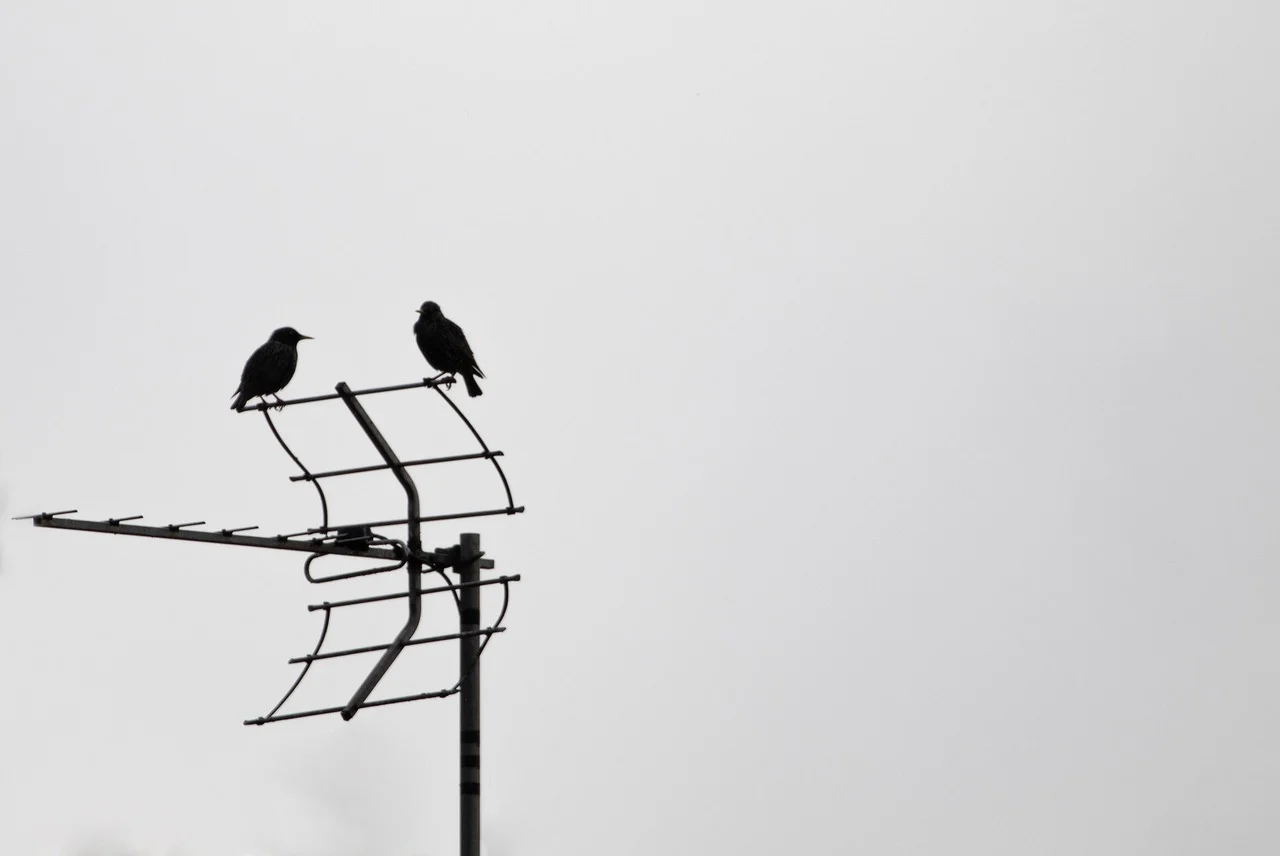 TV Aerial Installation - Things the Professionals Must Keep a Check On