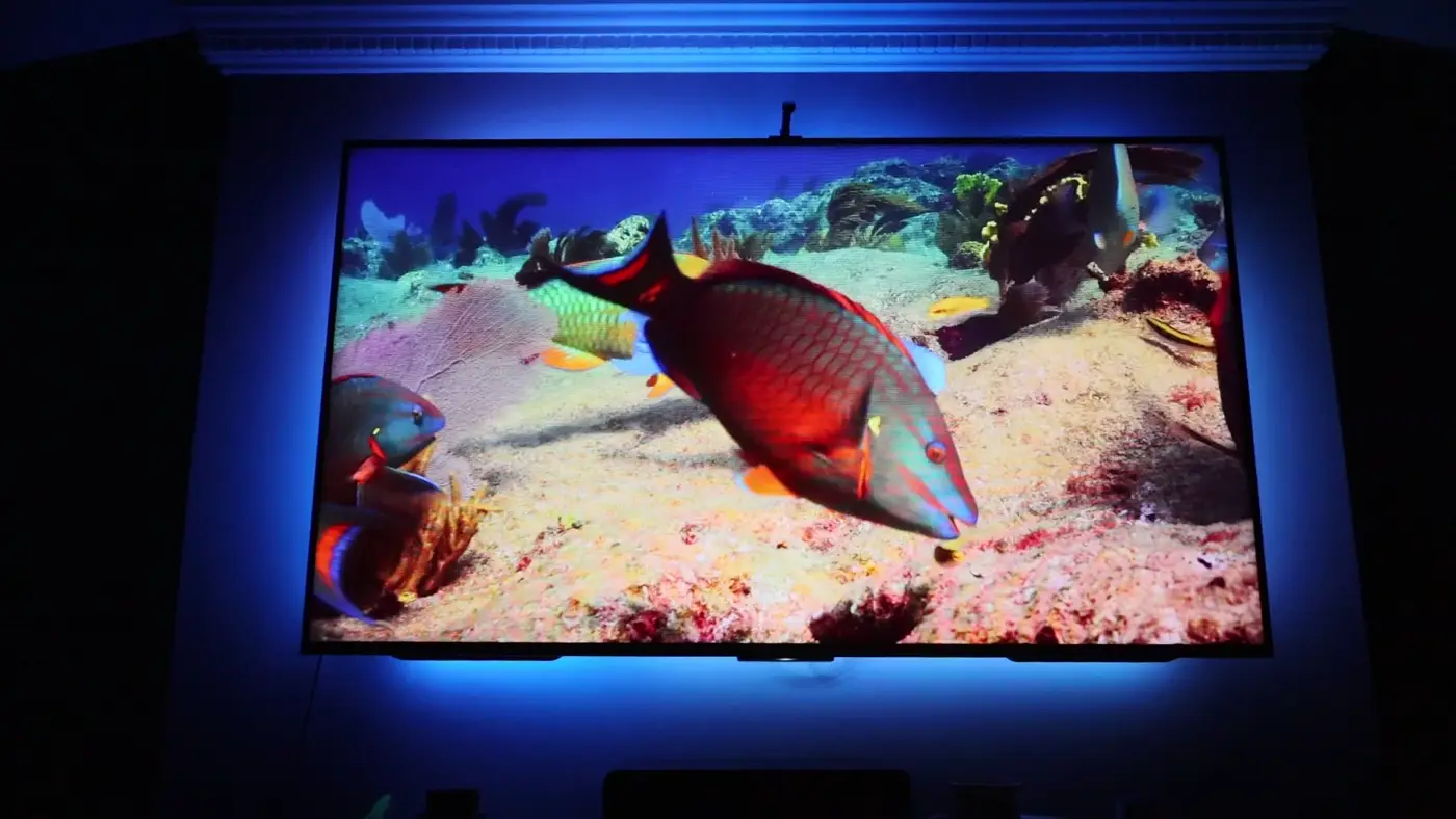 fo-02-reef-blue fo 02 reef blue TV Installation Straffan