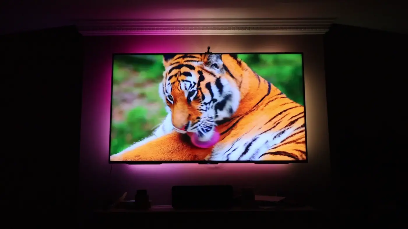 fo 03 tiger magenta 1 TV Installation Sandyford